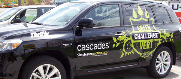 Vehicle Wraps